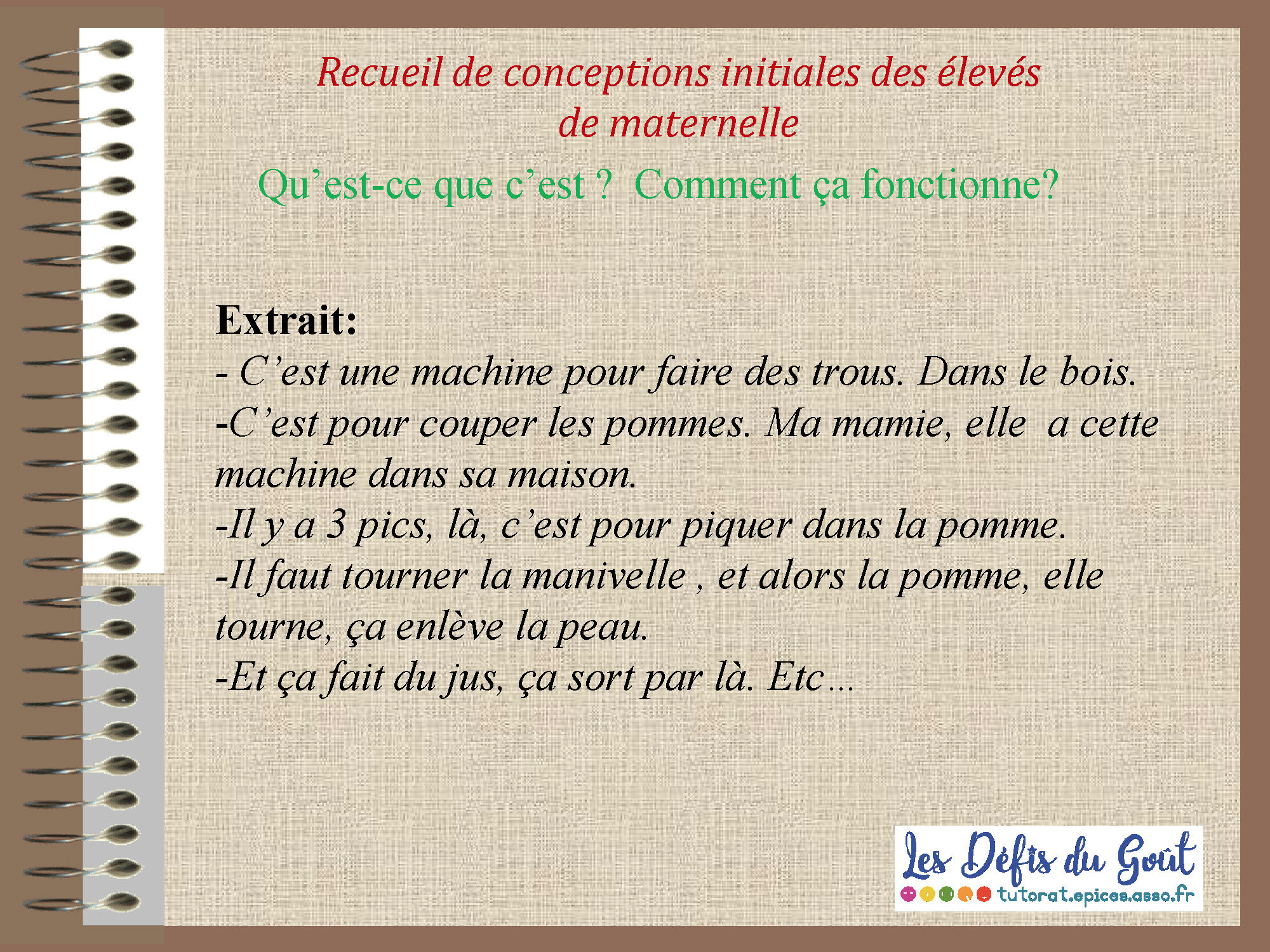 Tutorat Epices : Les Défis du Goût