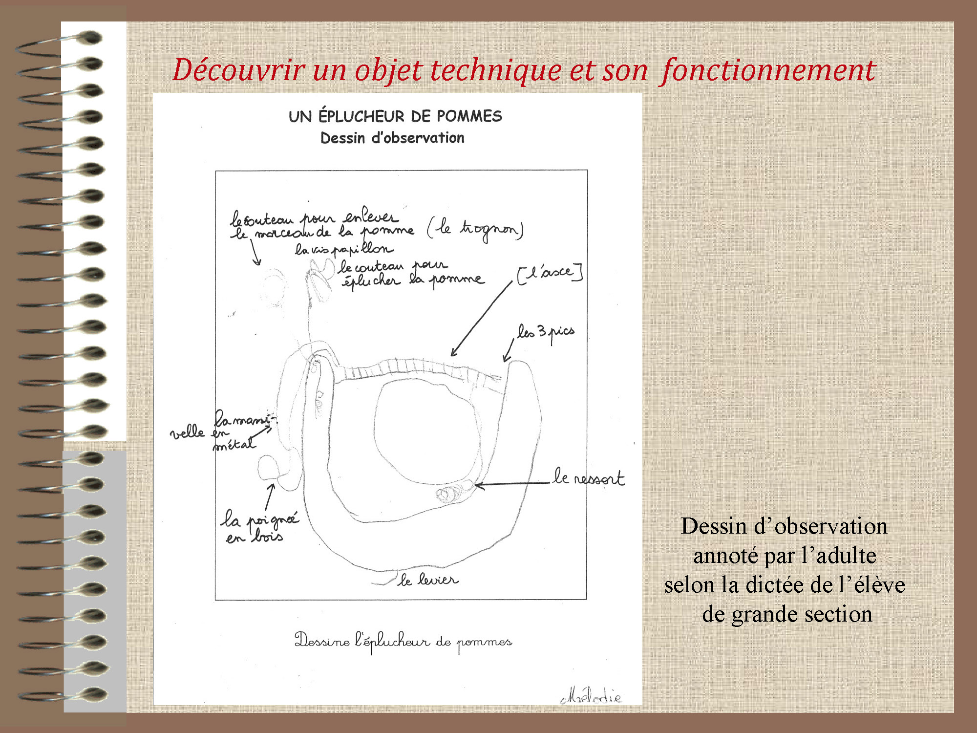 Tutorat Epices : Les Défis du Goût