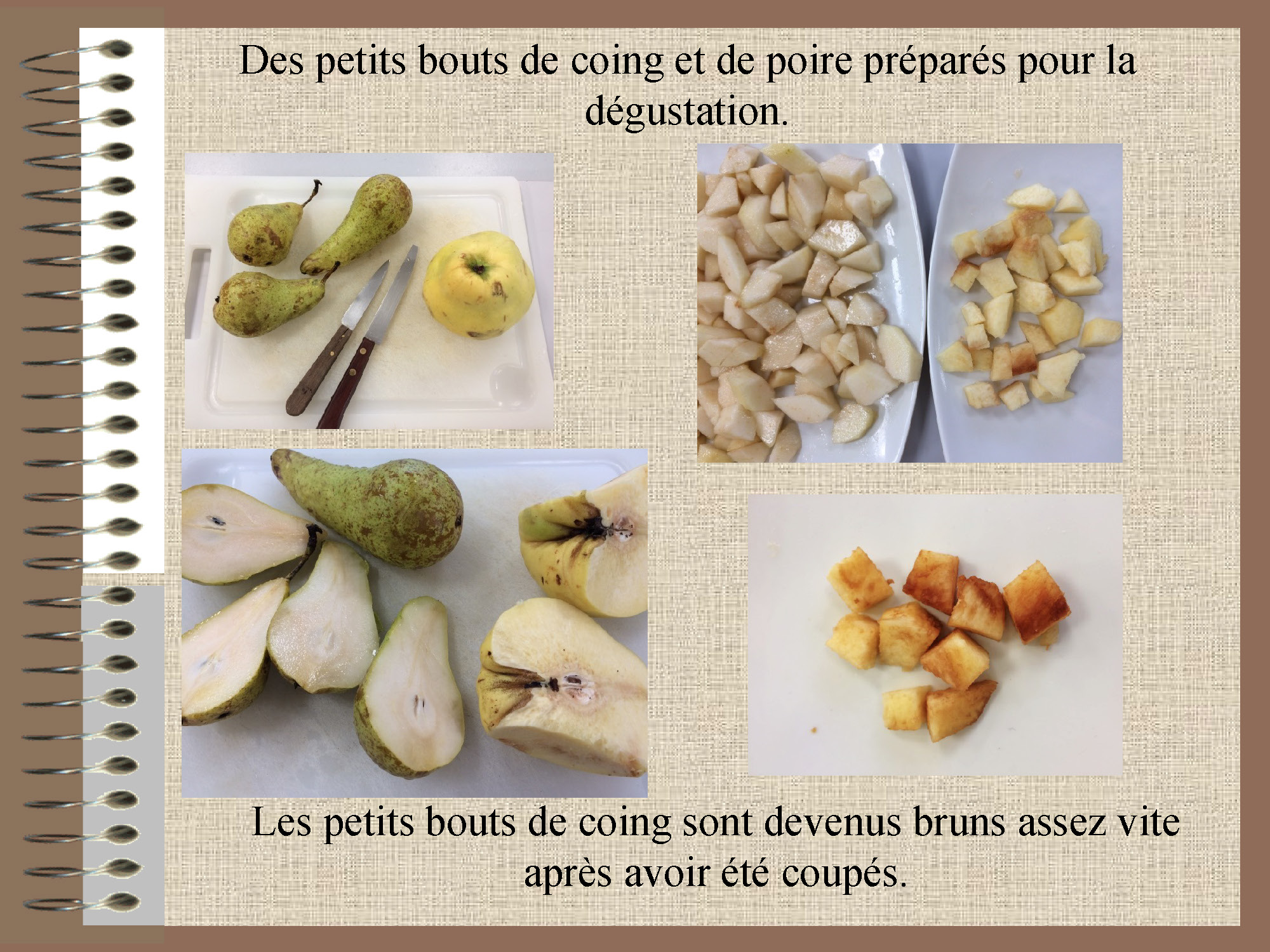 Tutorat Epices : Les Défis du Goût