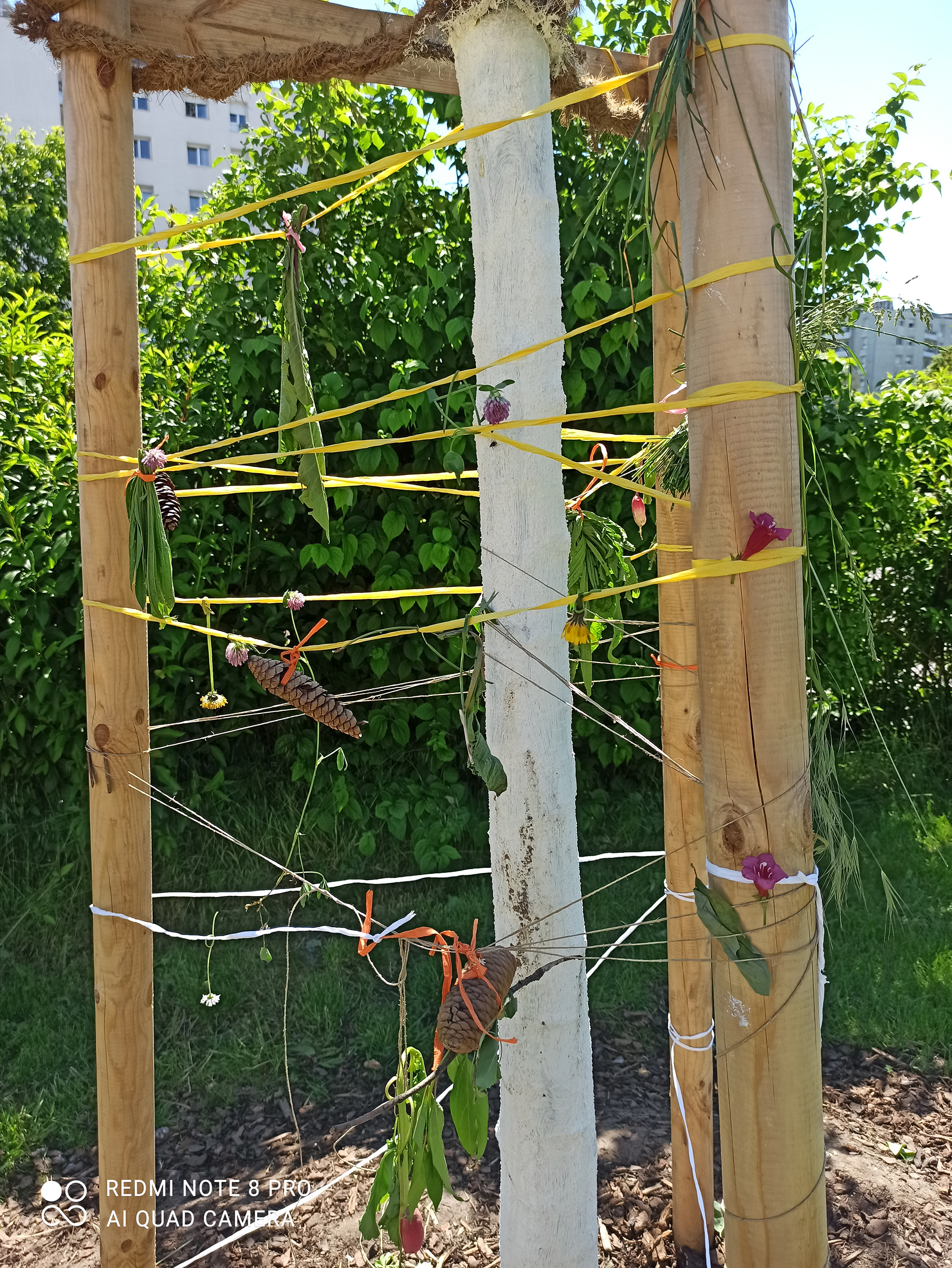 Défi N°3 : Les Carottes Rigolotes 2.0
